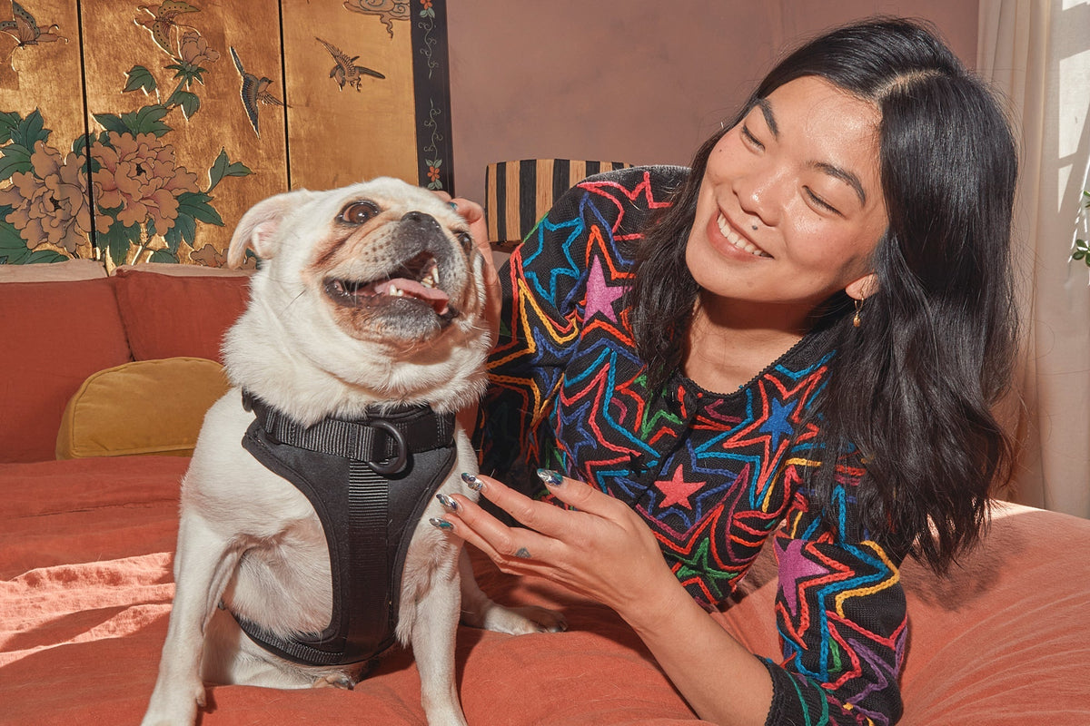 Meet Carrie Carrollo: Life as a Pug Mom & Interior DIYer
