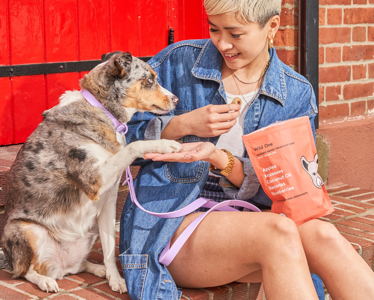 5 Best Dog Treats For Training (They're Healthy, Too!)