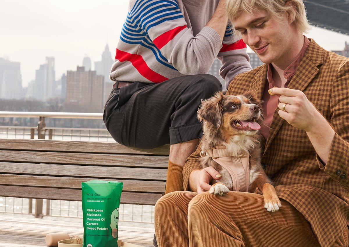 First Time Guide to Dog Ownership