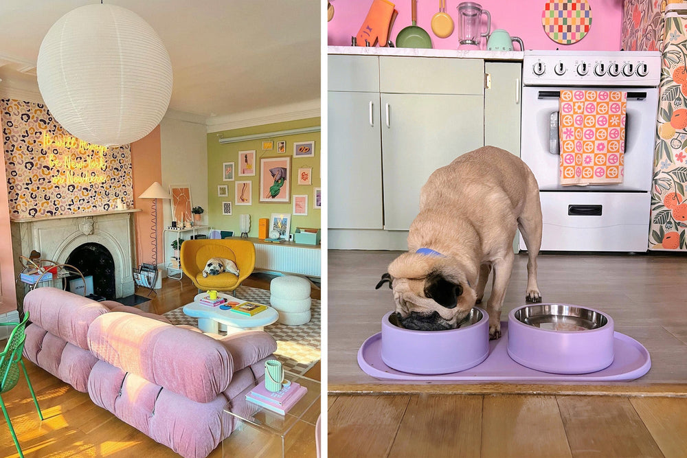 Meet Maitri: Colorful Interiors Enthusiast & Pug Mom