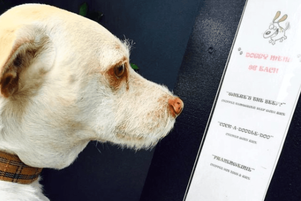 Los Angeles Guide to Eating and Drinking With Your Dog