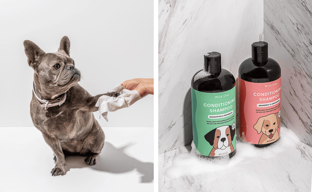 How To Use A Bath To Calm Your Stressed Dog