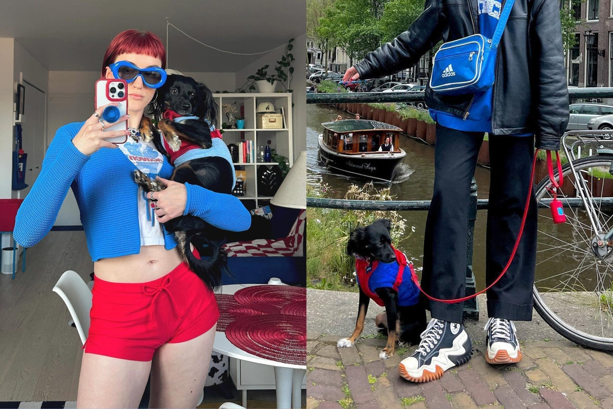 Meet Kailey Laise: Primary Color Enthusiast & Dog Mom to Luna