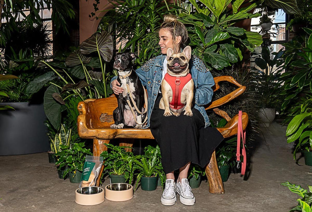 Protect Your Pup For Poisonous Plants
