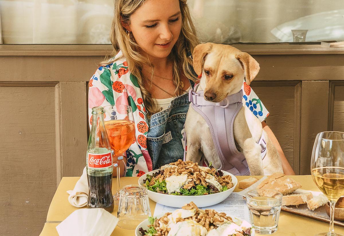 Best Pet Friendly Restaurants in New York City