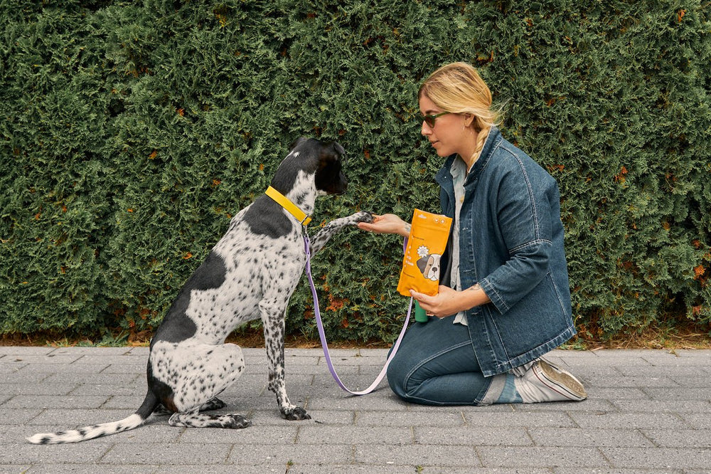 Best Organic Treats For Your Dog