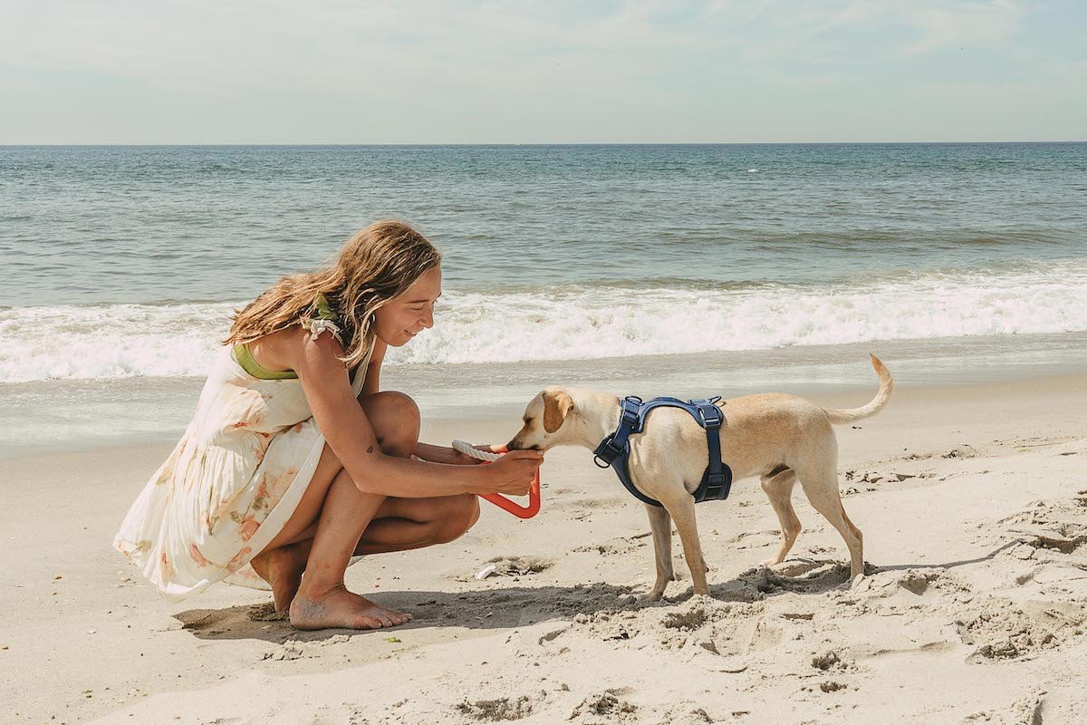 Fun Things To Do With Your Dog This Summer