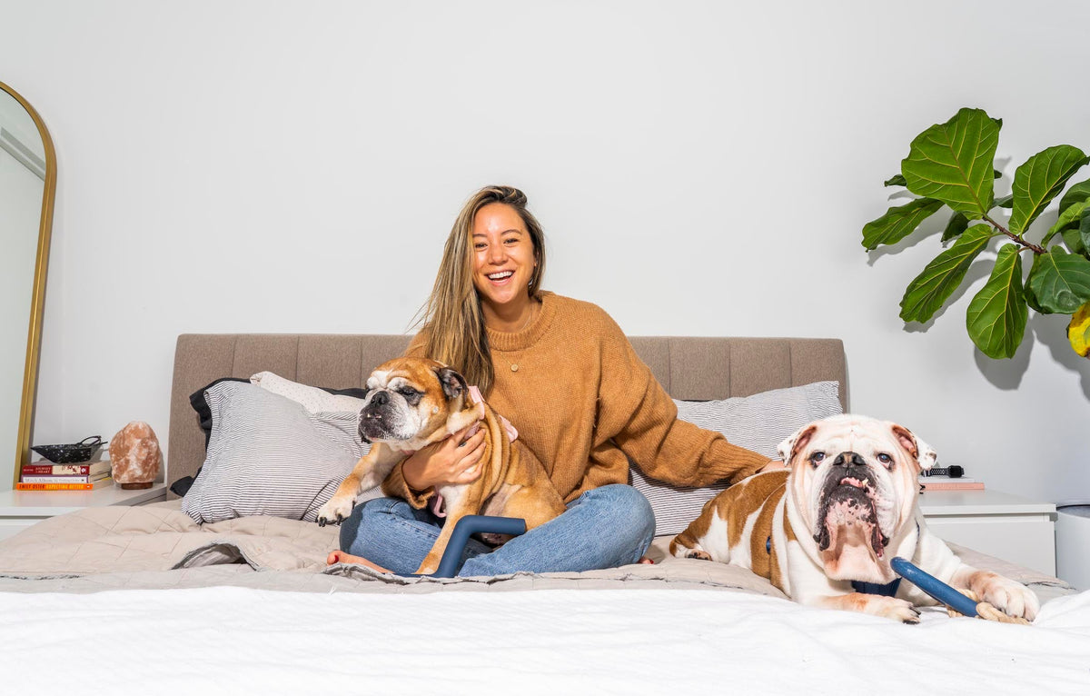 Best Apartment Dogs