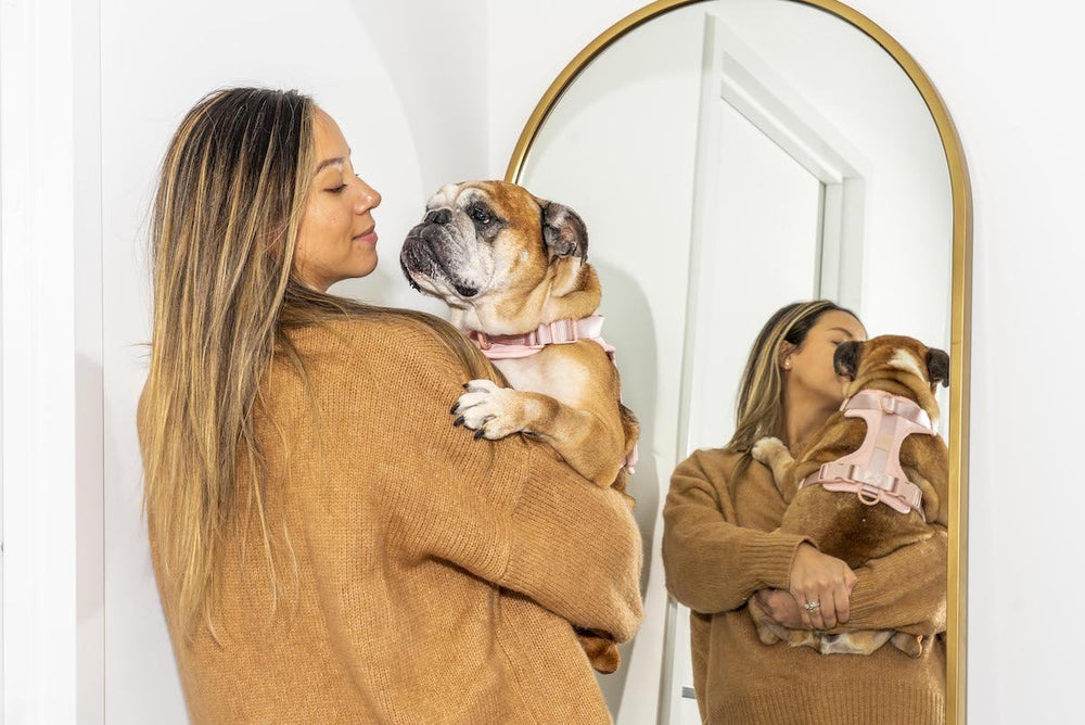 Dog Anxiety 101: Causes, Types, Remedies