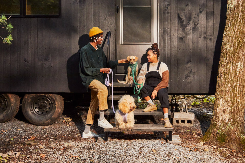 Hiking & Adventure Gear for Your Dog