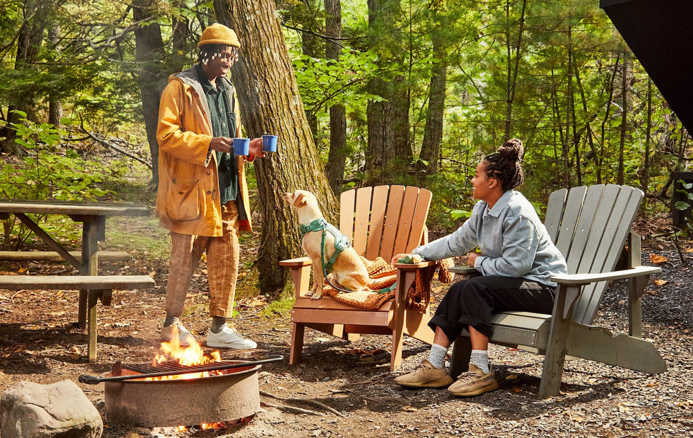 Essential Outdoor Dog Gear For The Great Outdoors