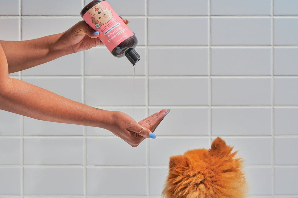 The Ultimate At-Home Guide For Dog Grooming