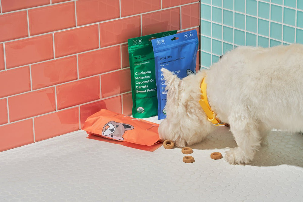 Benefits of Natural Treats for Dogs
