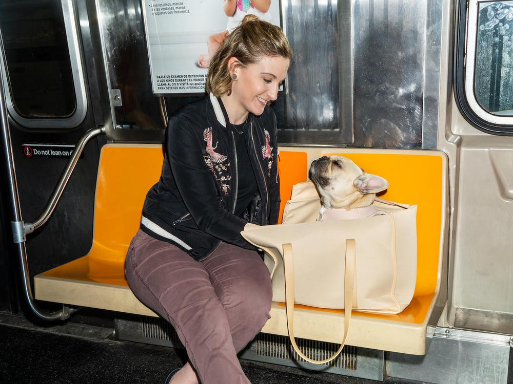 What To Know About Emotional Support Dogs