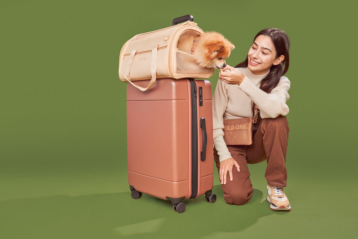 How To Pack the Perfect Travel Bag For Your Dog