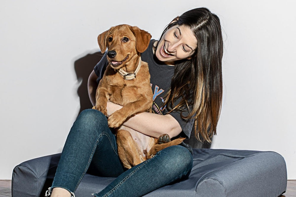 The Best Toys for Puppies