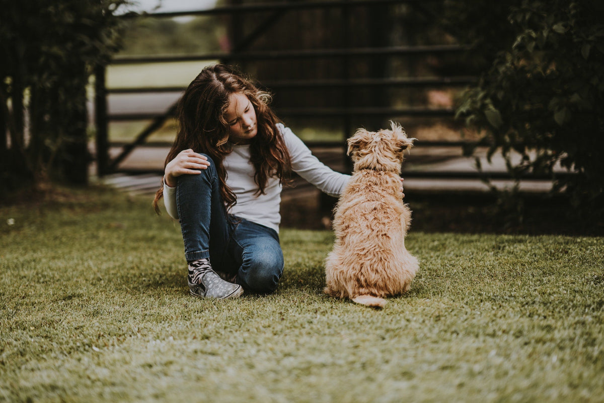 Why Rescue Dogs Are Good Pets for Kids