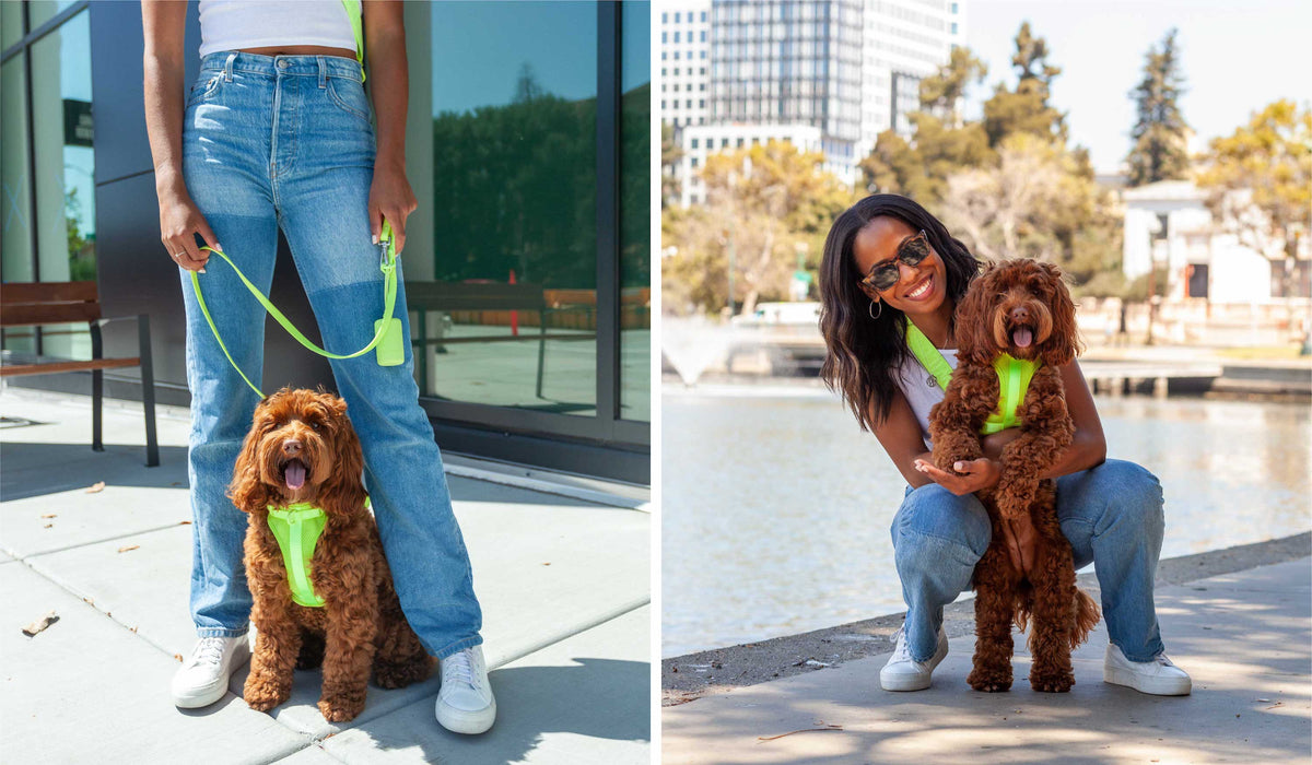 Meet Morgan Jones: Positive Wellbeing Perks of Pet Parenting