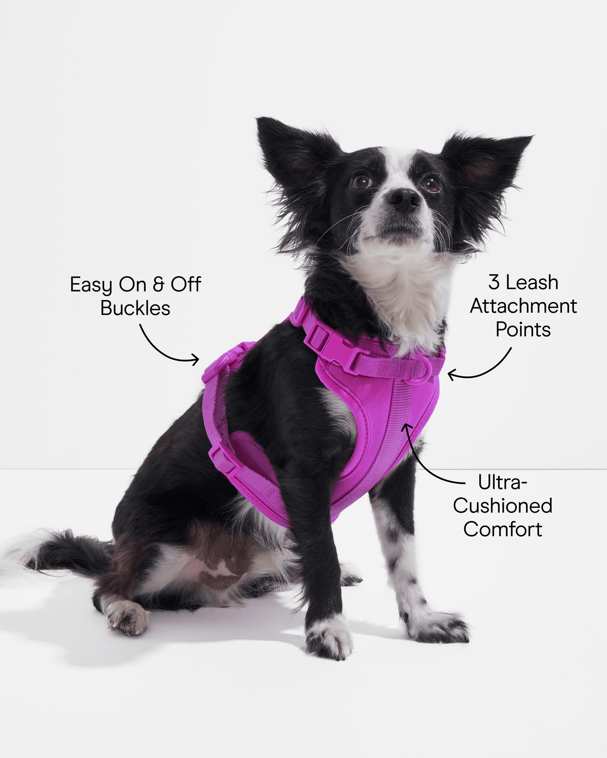 Cushioned Dog Harness