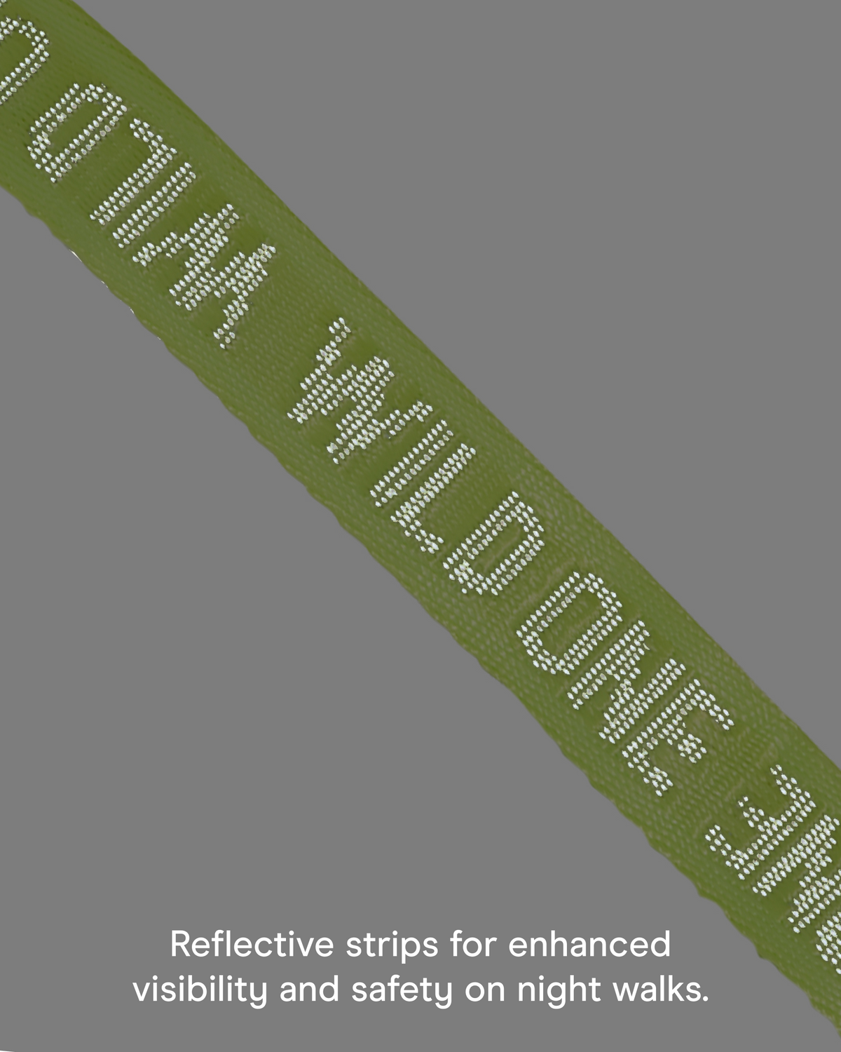 Quick-Release Dog Collar
