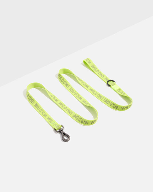 Image 29: Lightweight Dog Leash – Limeade Reflective