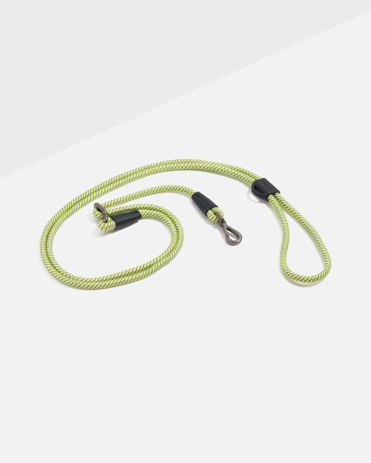Image 12: Hands-Free Rope Dog Leash – Limeade Reflective