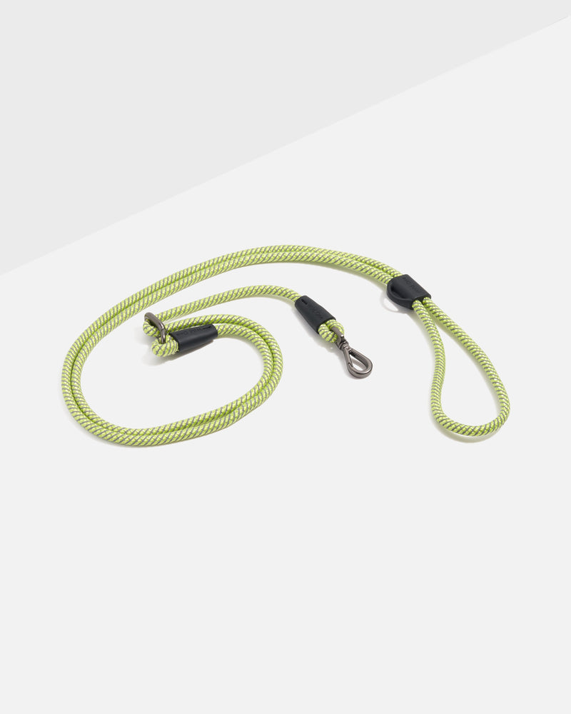 Hands-Free Rope Dog Leash