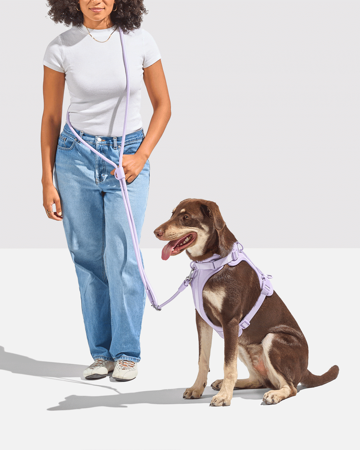 Cushioned Harness + Hands-Free Rope Leash Walk Kit