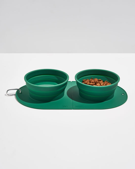 Image 20: Travel Bowl Duo – Spruce